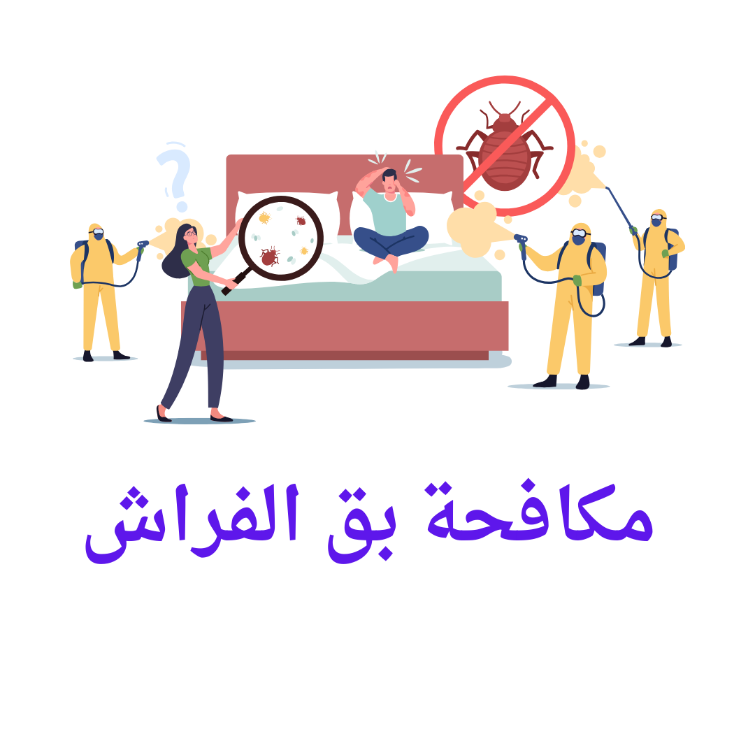   مكافحة بق الفراش 